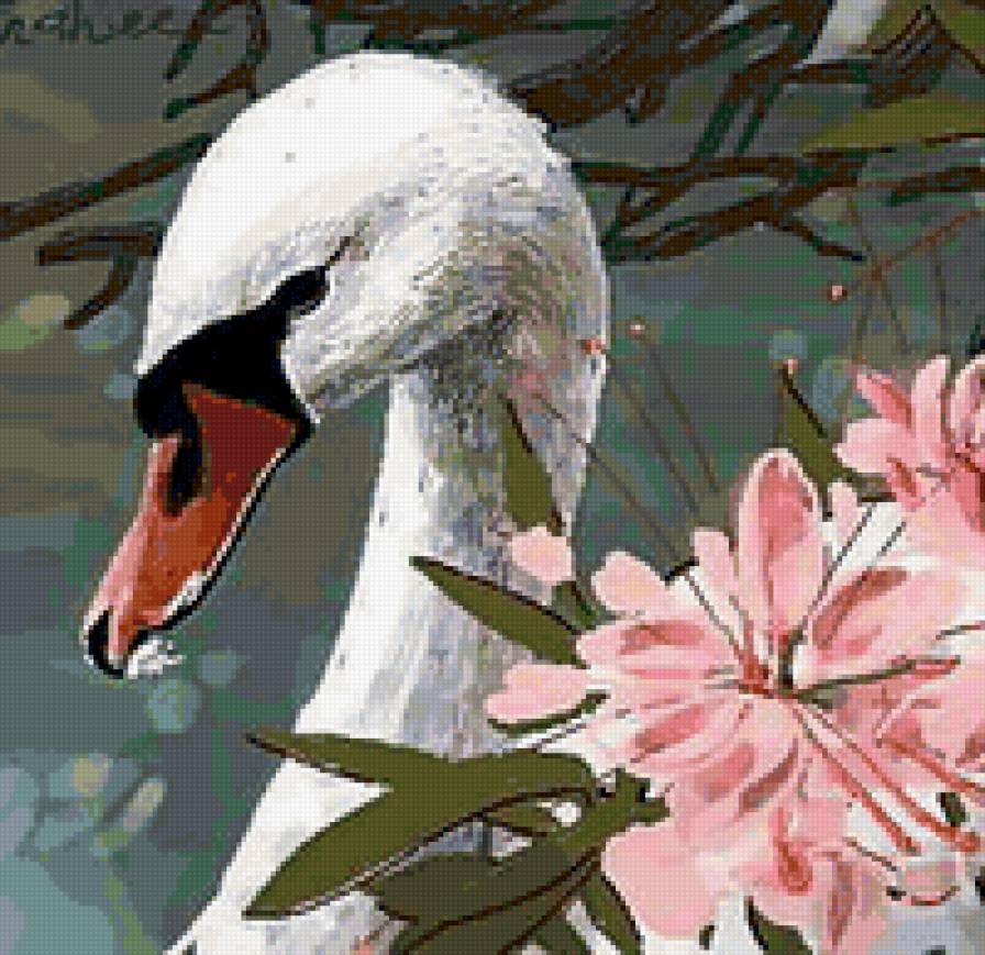 Лебедь - вода, пруд, лебедь - предпросмотр