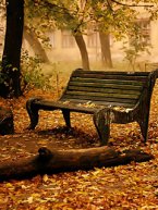 осенний день - скамейка, отдых, осень - оригинал