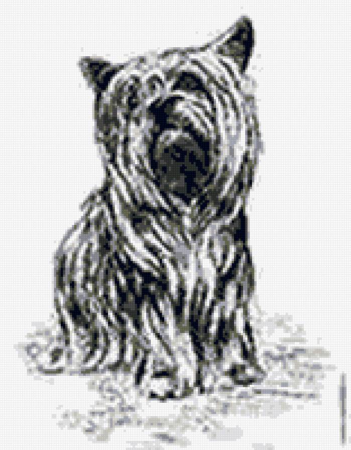 балонка - собаки - предпросмотр