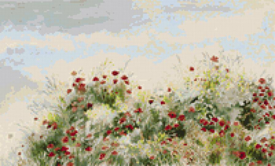 Маковое поле - предпросмотр