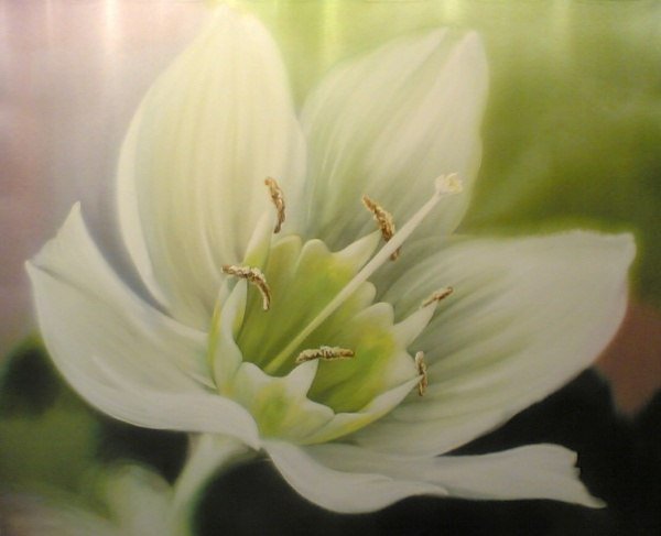 цветы - цветы - оригинал