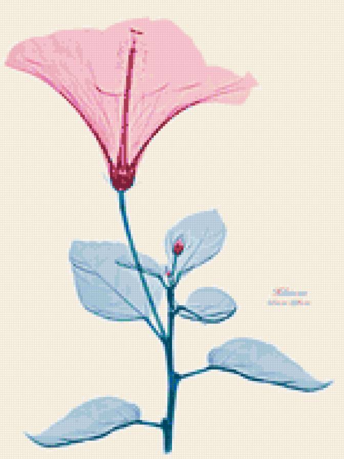 1 - цветы - предпросмотр