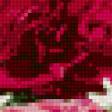 Предпросмотр схемы вышивки «Подушка"Цветы"» (№57281)