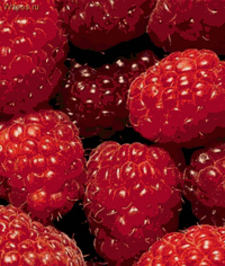 малина - ягоды - предпросмотр