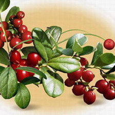 Схема вышивки «Вишня»