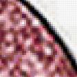 Предпросмотр схемы вышивки «Киска» (№57692)