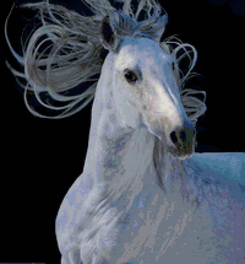 Креатив - конь, животные - предпросмотр