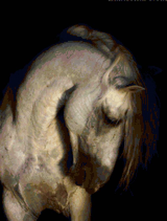 Плавные линии - животные, конь - предпросмотр