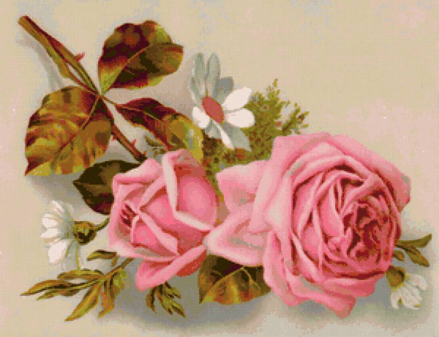 винтажные розы - розы, цветы - предпросмотр