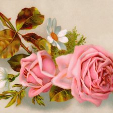 Оригинал схемы вышивки «винтажные розы» (№57719)
