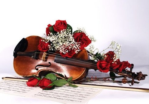 Скрипка - цветы, музыка, натюрморт - оригинал
