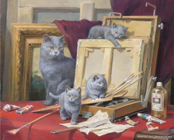 котята - картина, кошки, котята, натюрморт - оригинал