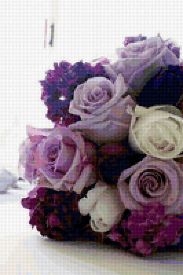 rozy - raza - предпросмотр