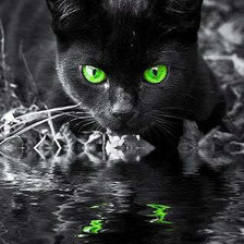 Схема вышивки «КОТИК»