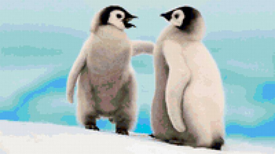 Пингвинята) - природа, пингвины, животные - предпросмотр