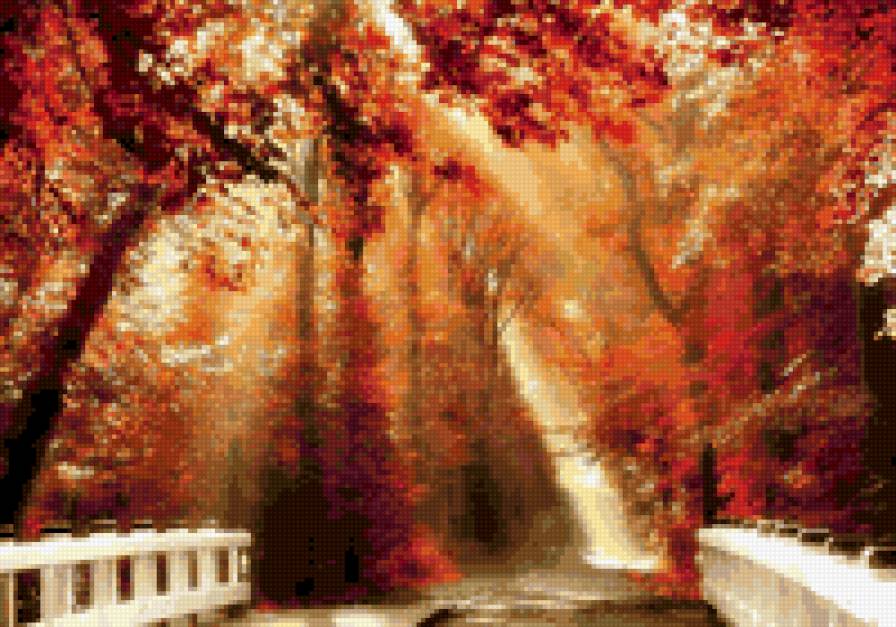 Осень) - деревья, времена года, природа, осень - предпросмотр