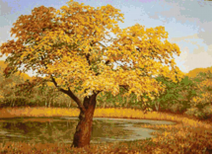Осеннее дерево - осень, природа, пейзаж, осенняя, красота природы, деревья - предпросмотр