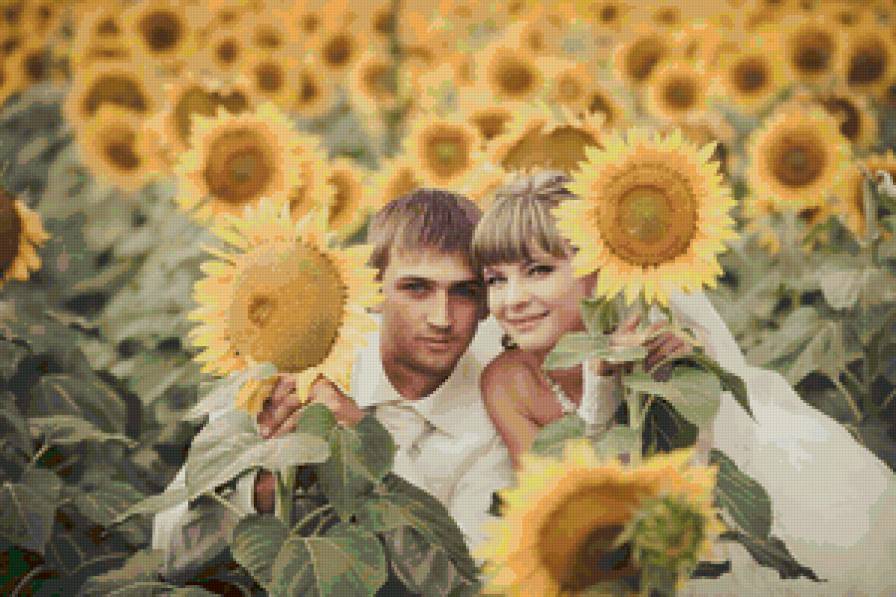 f - предпросмотр