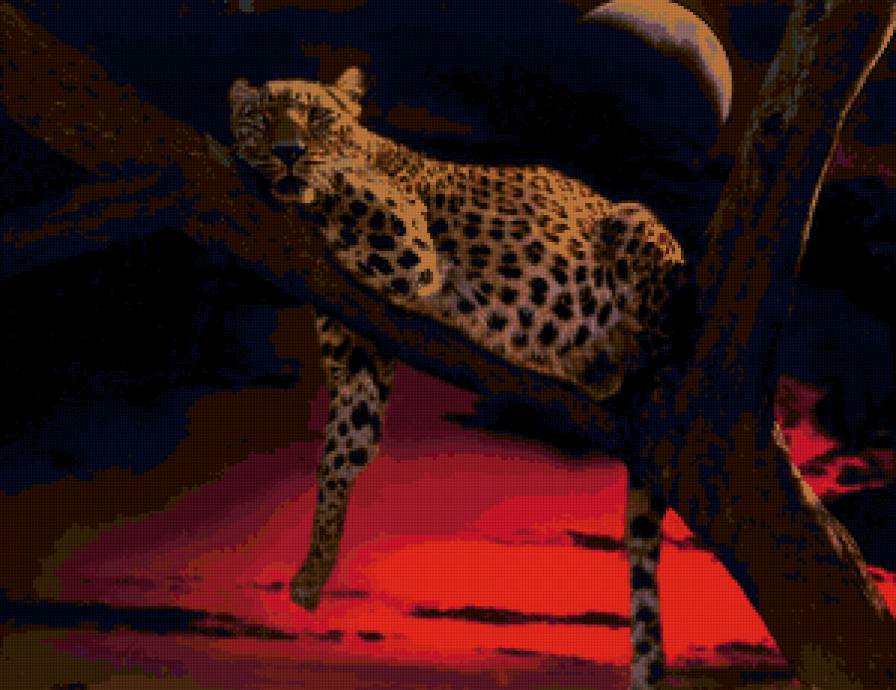 отдых - кошки, дикая природа, фауна - предпросмотр