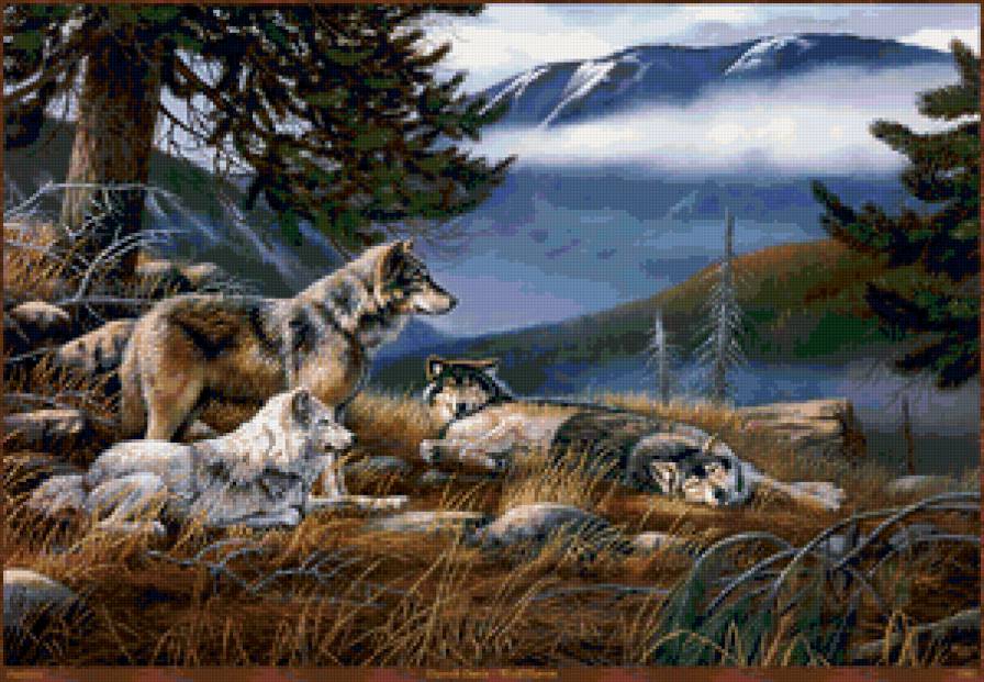 отдых - волк, волки, стая, хищники, природа, живопись, лес - предпросмотр