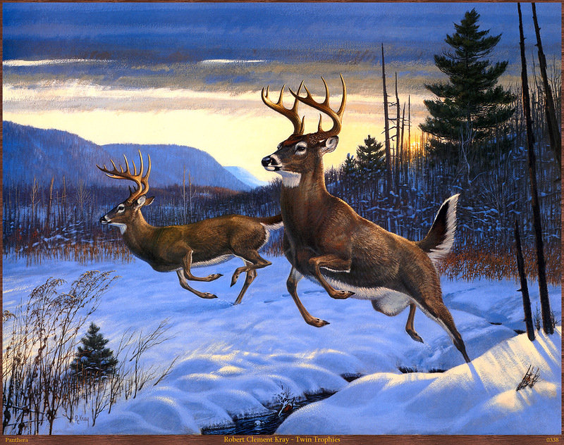 олени - животные, олень, природа, зима, картина, лес - оригинал