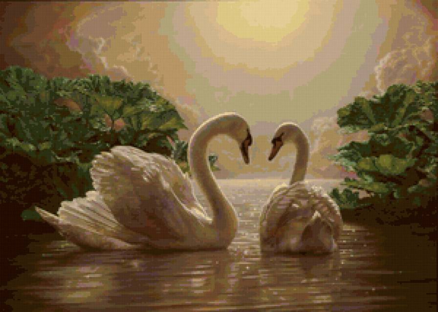 лебеди - романтика, картина, любовь, птицы - предпросмотр