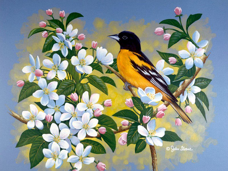 птичка - картина, птицы - оригинал