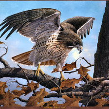 Схема вышивки «беркут на ветке»