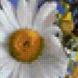 Предпросмотр схемы вышивки «ромашки в голубой вазе» (№59183)
