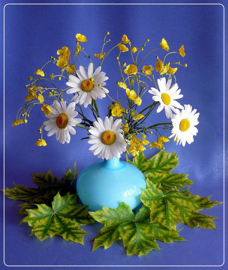 ромашки в голубой вазе - ромашки, букет, ваза, цветы - оригинал