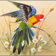 Схема вышивки «№59236»