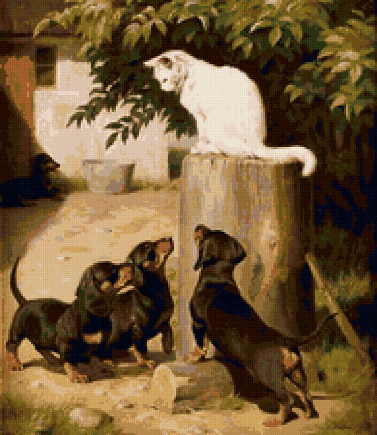 Двор - кошка, таксы, двор - предпросмотр