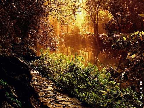 лес - река, картина, лето, лес - оригинал