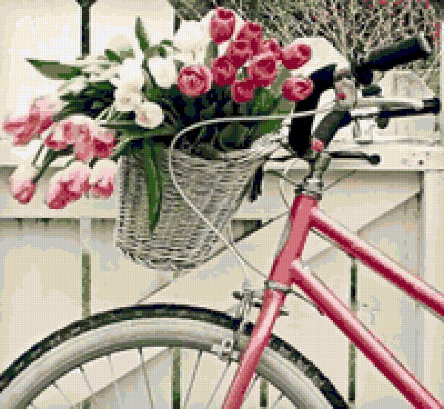 cvety na velosipede - cvety, priroda, krasota - предпросмотр