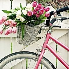 cvety na velosipede