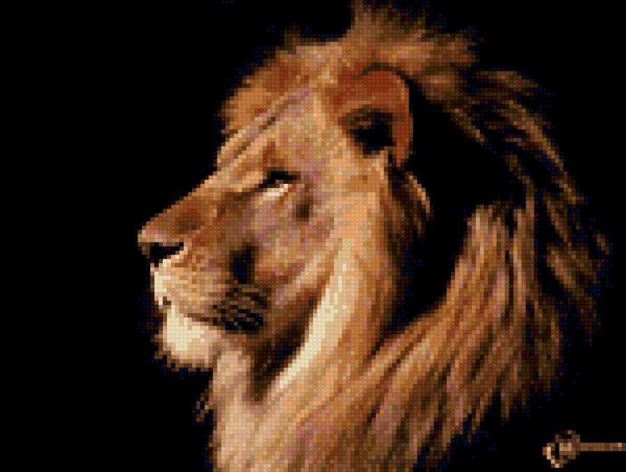 лев - лев - предпросмотр