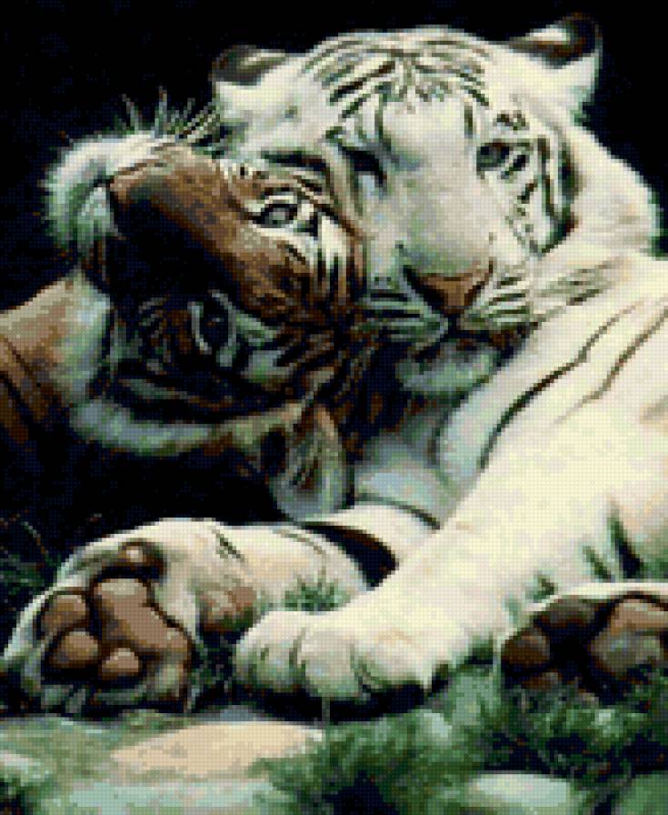 Пара - тигр - предпросмотр