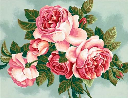 розы - цветок, флора, душистые розы, розочки, роза, розы, цветы - оригинал