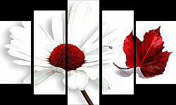 ромашка11 - оригинал