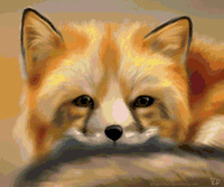 Лисенок - лиса, животные - предпросмотр