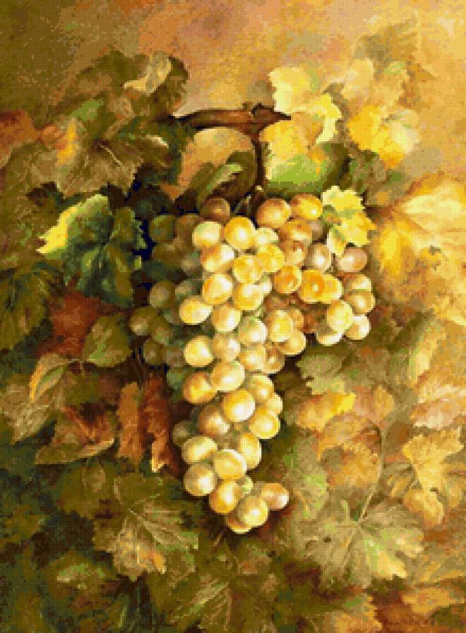 Виноград - виноград - предпросмотр