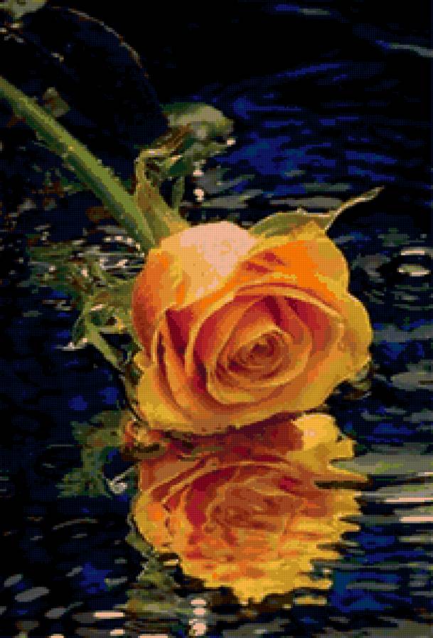 роза - цветы, бутон, розы - предпросмотр