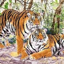 Схема вышивки «№60555»