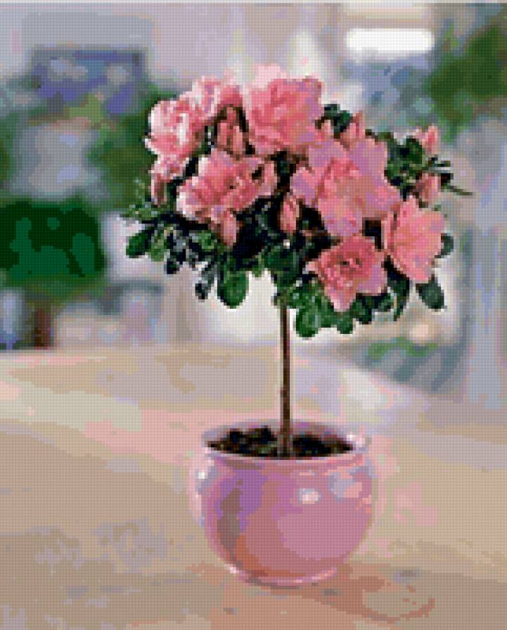 азалия1 - предпросмотр