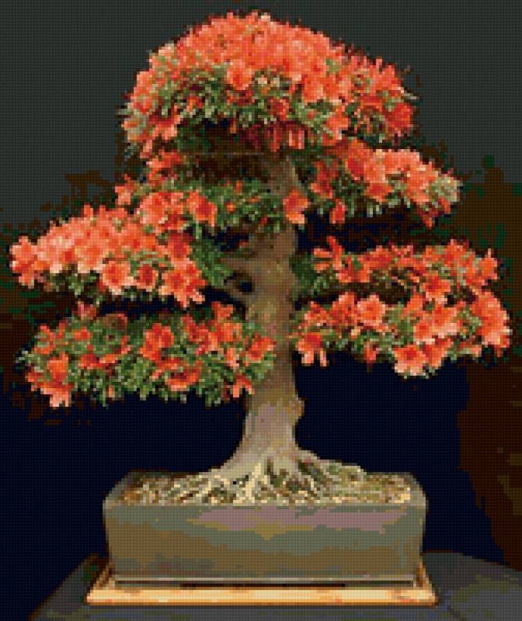 цветущий бонсай - предпросмотр