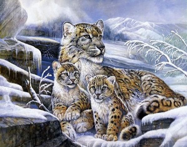 леопарды - картина, лео, кошки, зима, животные, хищники, леопард - оригинал