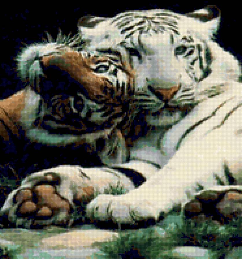 Тигры - тигры - предпросмотр