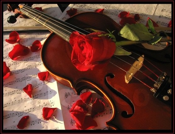 Музыка - цветы, скрипка, живопись - оригинал