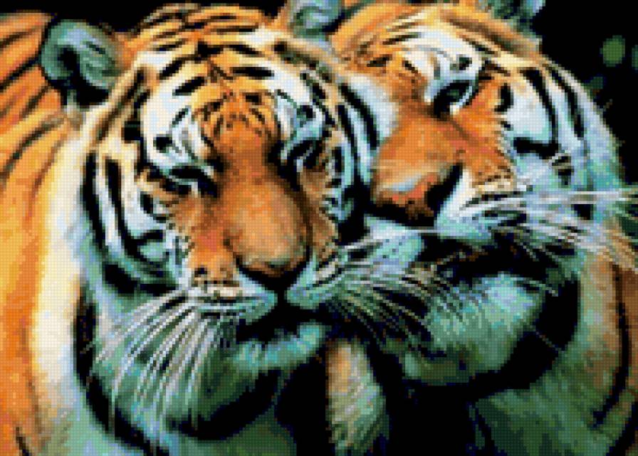 тигры - тигры - предпросмотр