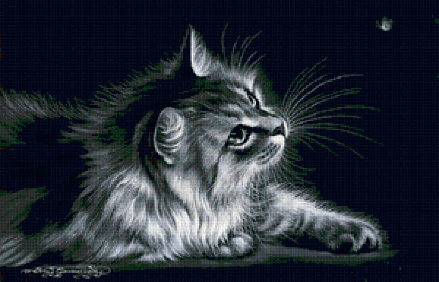 КИСА - предпросмотр